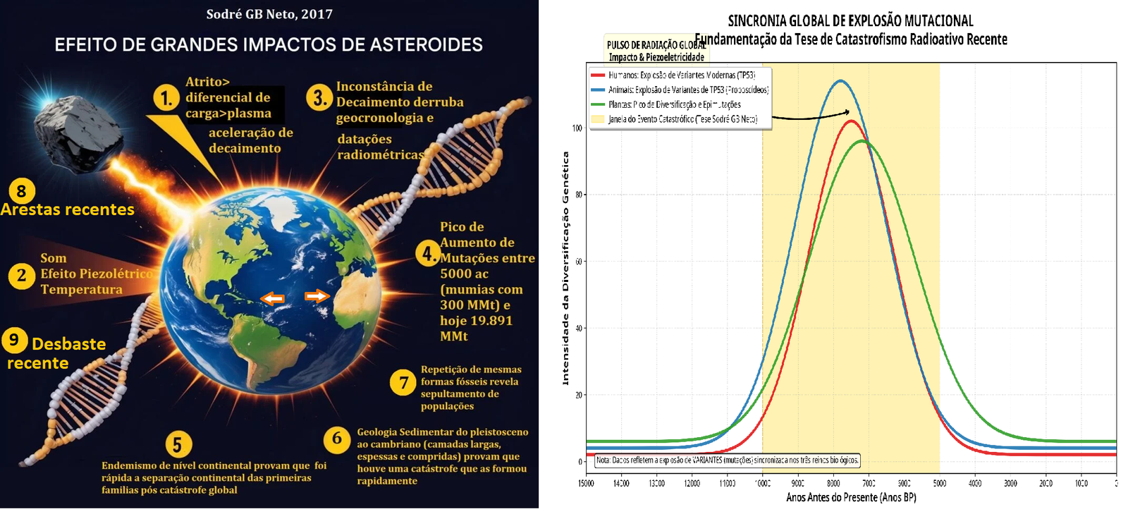 A Teoria da Degeneração Genética e o Pico Mutacional Holocênico: Evidências para uma Extinção Iminente
